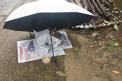 TO INFORM HALF-HEARTEDLY TO INFORM HALF-HEARTEDLY