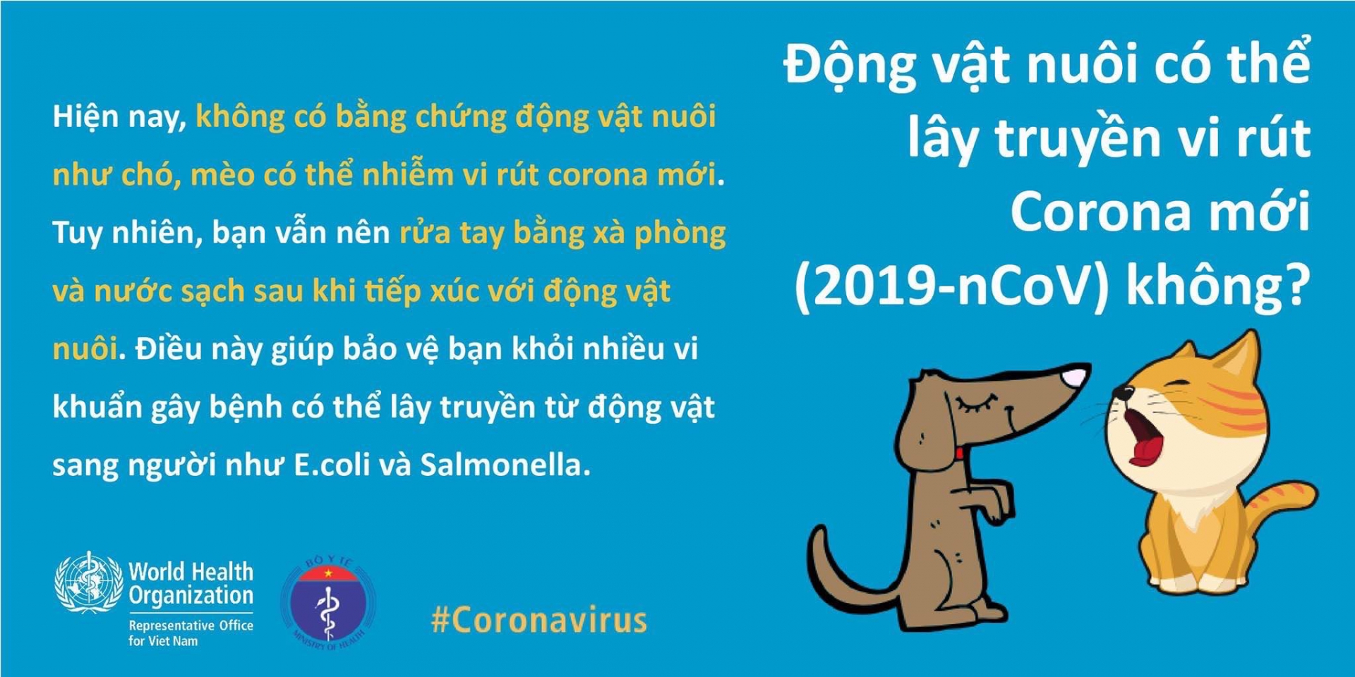 CHÓ MÈO KHÔNG LÂY VIRUS SARS COV - 2 CHO NGƯỜI