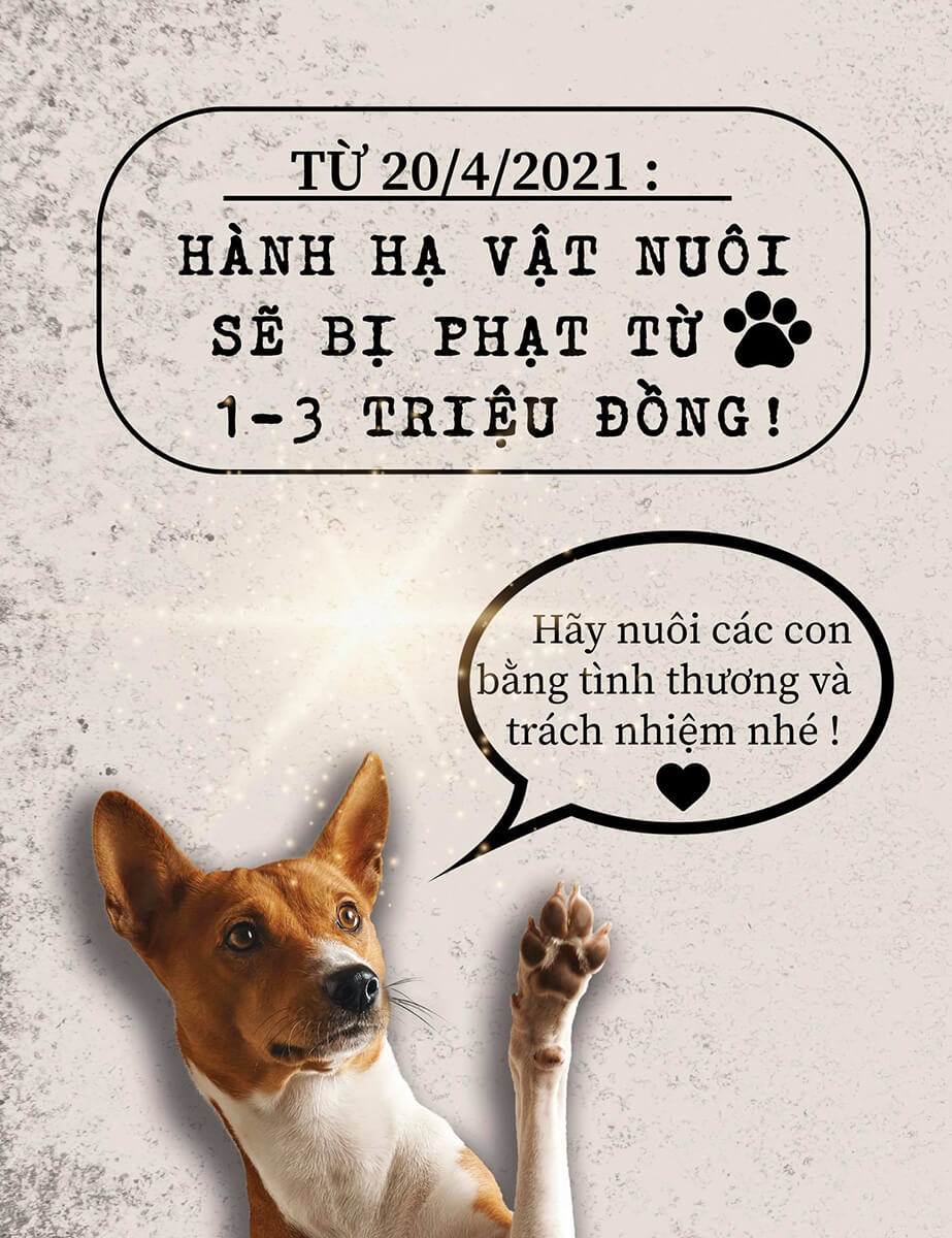 Hành hạ vật nuôi sẽ bị phạt từ 1 – 3 triệu đồng