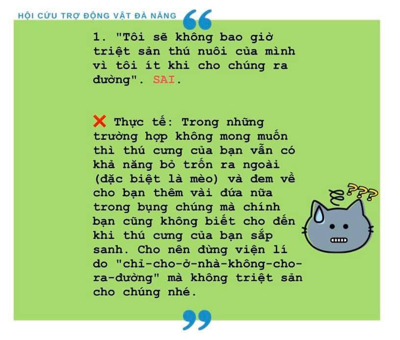 TẠI SAO PHẢI TRIỆT SẢN CHO CHÓ, MÈO?