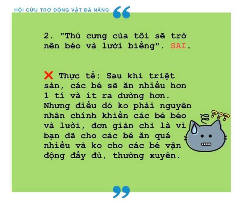 TẠI SAO PHẢI TRIỆT SẢN CHO CHÓ, MÈO?