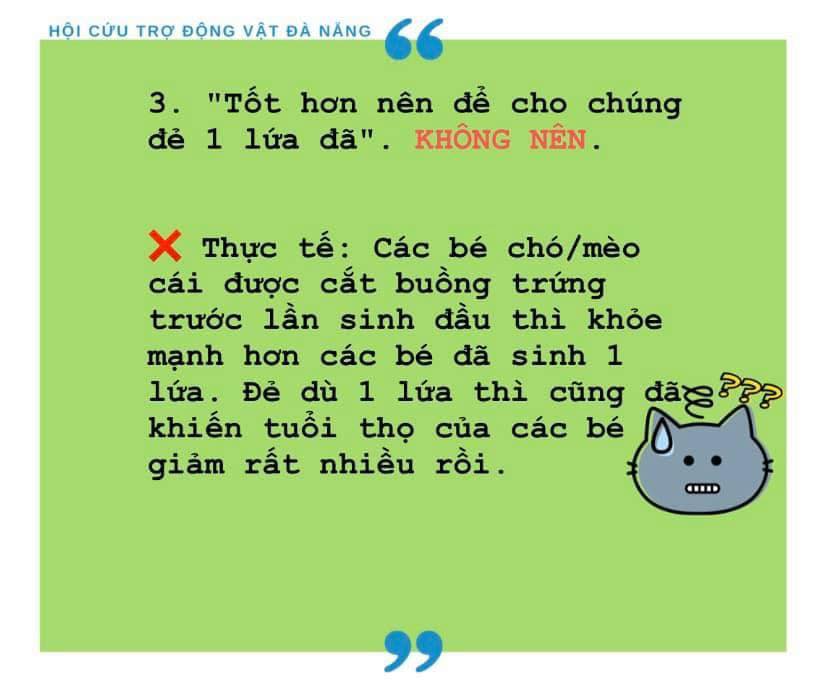 TẠI SAO PHẢI TRIỆT SẢN CHO CHÓ, MÈO?