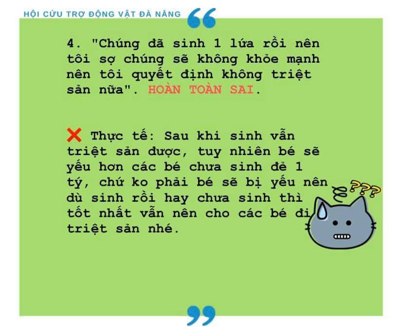 TẠI SAO PHẢI TRIỆT SẢN CHO CHÓ, MÈO?