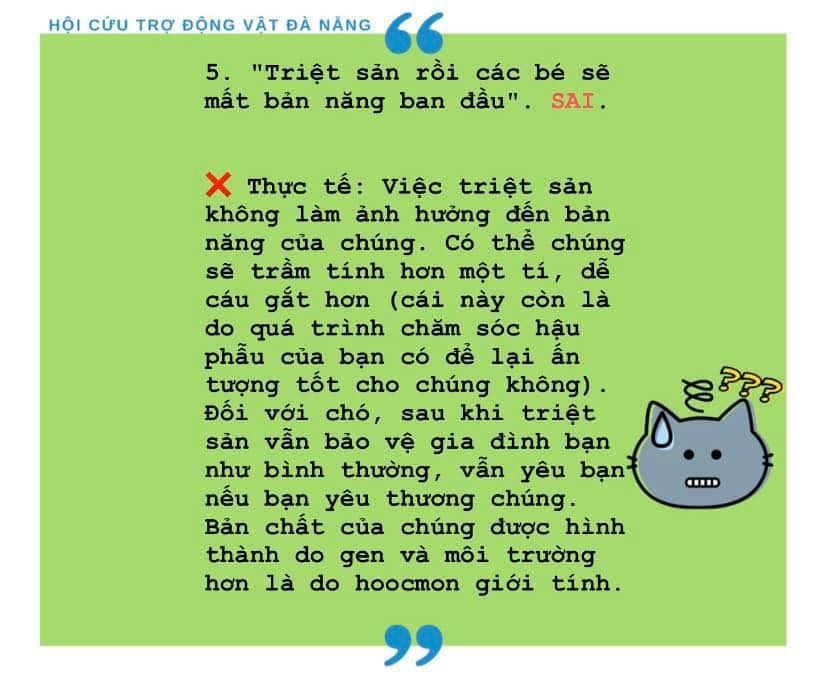 TẠI SAO PHẢI TRIỆT SẢN CHO CHÓ, MÈO?