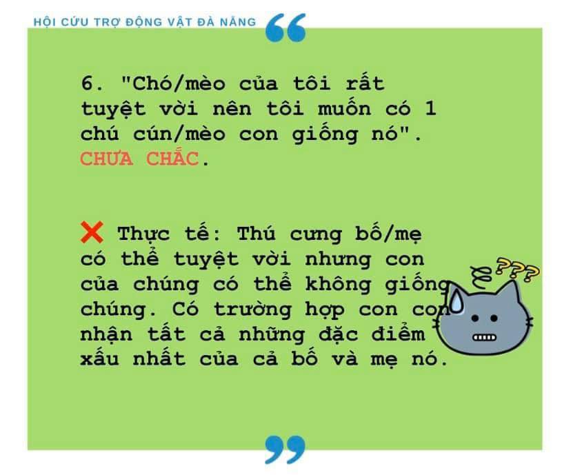 TẠI SAO PHẢI TRIỆT SẢN CHO CHÓ, MÈO?