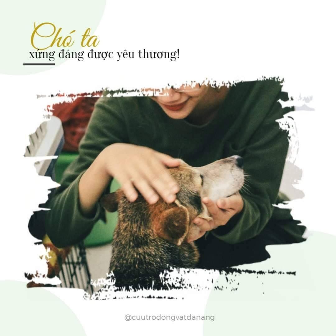 VÌ CHÓ TA XỨNG ĐÁNG ĐƯỢC YÊU THƯƠNG